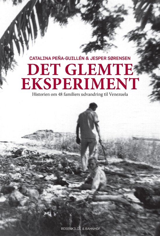 Cover for Jesper Sørensen Catalina Peña-Guillén · Det glemte eksperiment (Sewn Spine Book) [1st edition] (2013)