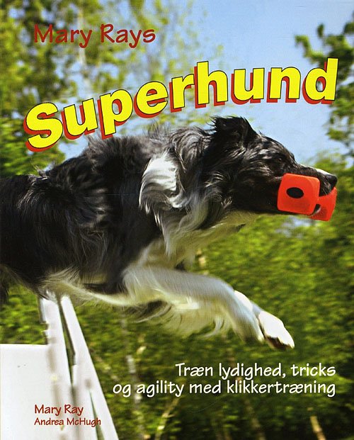 Superhund - Mary Ray - Kirjat - Atelier - 9788778575654 - tiistai 20. tammikuuta 2009