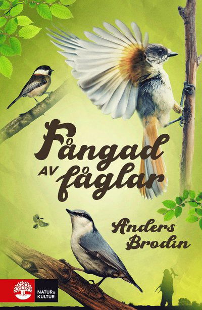 Cover for Anders Brodin · Fångad av fåglar (Gebundesens Buch) (2023)