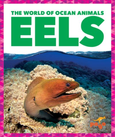 Cover for Schuh · Eels (Book) (2023)