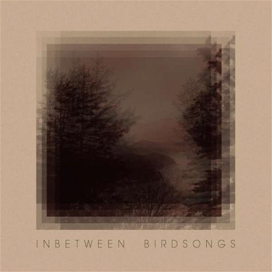 Cover for Matthias Gusset · Inbetween Birdsongs (CD) (2021)
