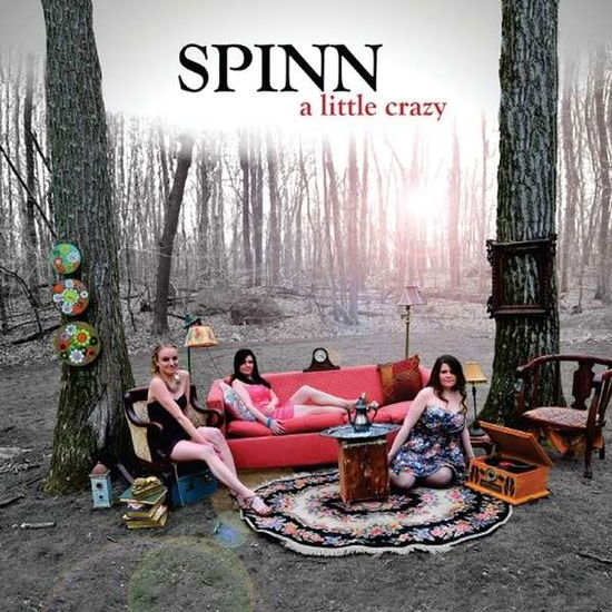 A Little Crazy - Spinn - Music - CD Baby - 0884501967655 - August 21, 2013