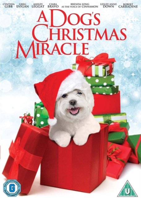Cover for My Dogs Christmas Miracle · A Dogs Christmas Miracle (DVD) (2011)