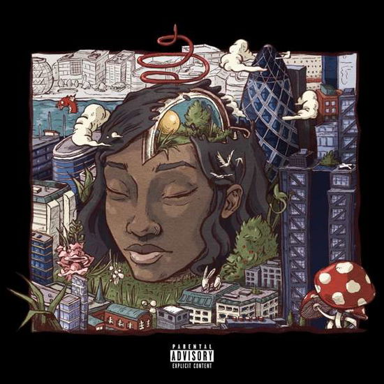 Stillness in Wonderland - Little Simz - Música - AGE 101 - 5060384611655 - 24 de março de 2017