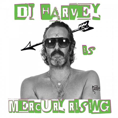 Dj Harvey Is The Sound Of Mercury Rising Vol Ii - V/A - Musiikki - PIKES RECORDS - 5060670888655 - perjantai 27. syyskuuta 2019