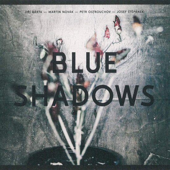 Cover for Barta / Harries / Novak · Blue Shadows (CD) (2017)