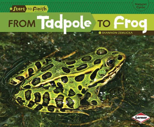 Cover for Shannon Zemlicka · From Tadpole to Frog (Start to Finish) (Hardcover Book) (2012)