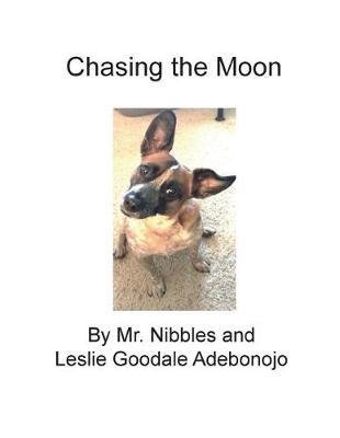 Cover for Mr Nibbles · Chasing the Moon (Paperback Book) (2018)