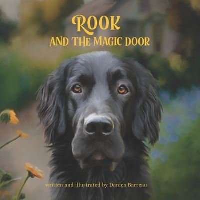 Cover for Danica Barreau · Rook and the Magic Door (Buch) (2023)