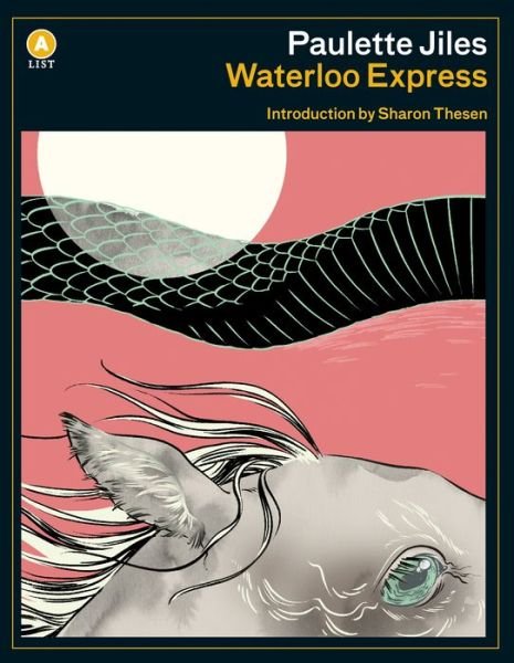 Cover for Paulette Jiles · Waterloo Express (Taschenbuch) (2019)