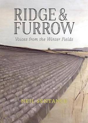 Cover for Neil Sentance · Ridge and Furrow: Voices from the Winter Fields (Paperback Book) (2019)