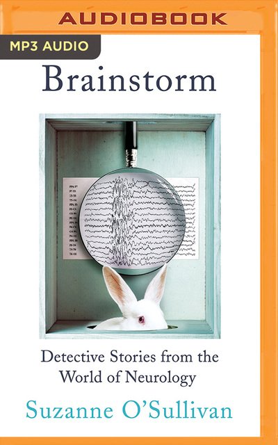 Cover for Christine Williams · Brainstorm (CD) (2018)