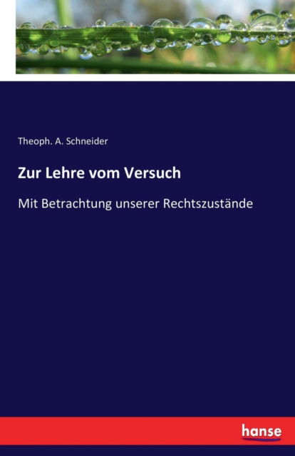 Cover for Theoph a Schneider · Zur Lehre vom Versuch (Taschenbuch) (2017)