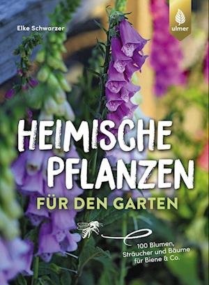 Cover for Elke Schwarzer · Heimische Pflanzen fr den Garten (Pocketbok) (2022)