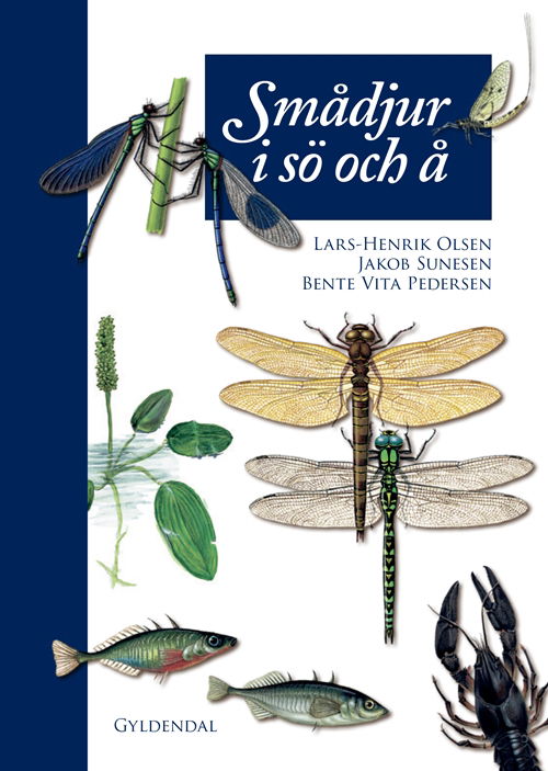 Cover for Lars-Henrik Olsen; Jakob Sunesen; Vita Bente Pedersen · Smådjur i sö och å (Bound Book) [1st edition] (2019)