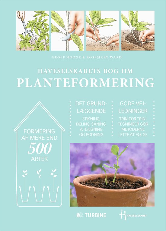 Haveselskabets bog om planteformering - Geoff Hodge og Rosemary Ward - Kirjat - Turbine - 9788740605655 - keskiviikko 10. helmikuuta 2016