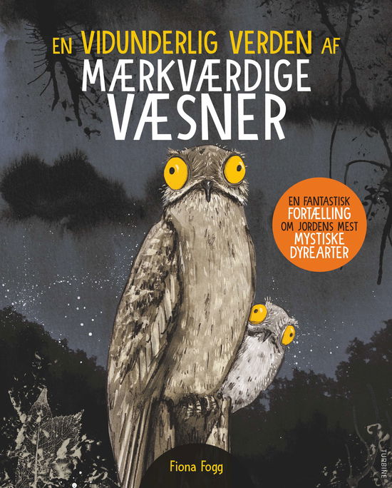 Finoa Fogg · En vidunderlige verden af mærkværdige væsner (Hardcover Book) [1º edição] (2024)