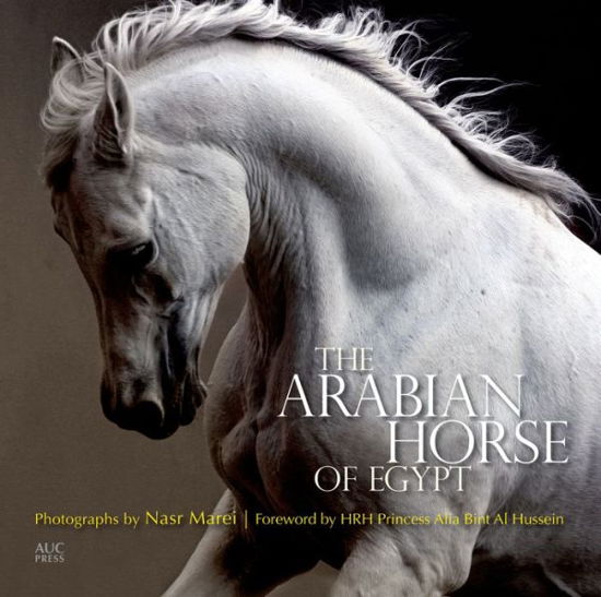 Cover for Cynthia Culbertson · The Arabian Horse of Egypt (Paperback Book) (2014)