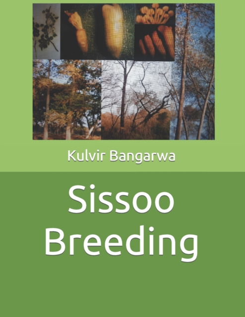 Cover for Kulvir Bangarwa · Sissoo Breeding: Forest Tree Breeding - Forestry Books (Paperback Book) (2021)