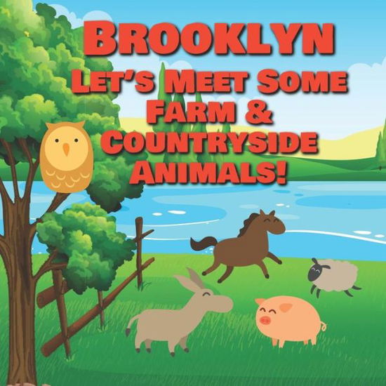 Cover for Chilkibo Publishing · Brooklyn Let's Meet Some Farm and Countryside Animals! (Book) (2020)