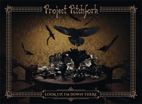 Cover for Project Pitchfork · Look Up, I'm Down Here (CD) [Limited edition] (2016)