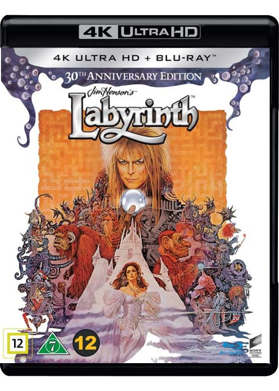 Labyrinth - David Bowie / Jennifer Connelly - Film -  - 5051162368656 - 29. september 2016
