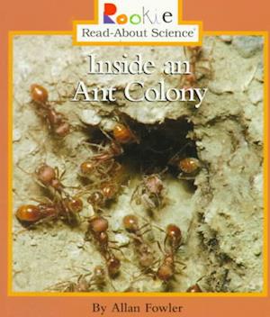 Cover for Allan Fowler · Inside an Ant Colony (Rookie Read-About Science: Animal Adaptations &amp; Behavior) (Paperback Book) (2001)