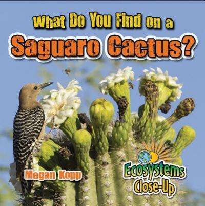 Cover for Megan Kopp · What Do You Find on a Saguaro Cactus? (Hardcover Book) (2016)