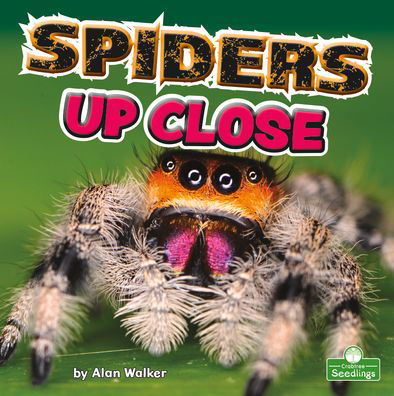 Cover for Alan Walker · Spiders Up Close (Hardcover bog) (2022)