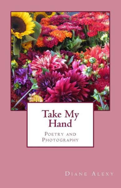 Cover for Diane Alexy · Take My Hand (Paperback Book) (2017)