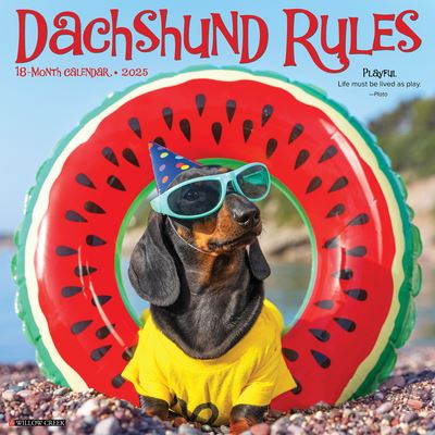 Dachshund Rules 2025 12 X 12 Wall Calendar - Willow Creek Press - Merchandise - Willow Creek Press Calendars - 9781549242656 - September 10, 2024