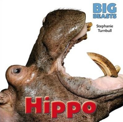 Cover for Stephanie Turnbull · Hippo (Big Beasts) (Hardcover bog) (2015)