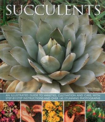 Cover for Hewitt Terry · Succulents (Hardcover Book) (2015)