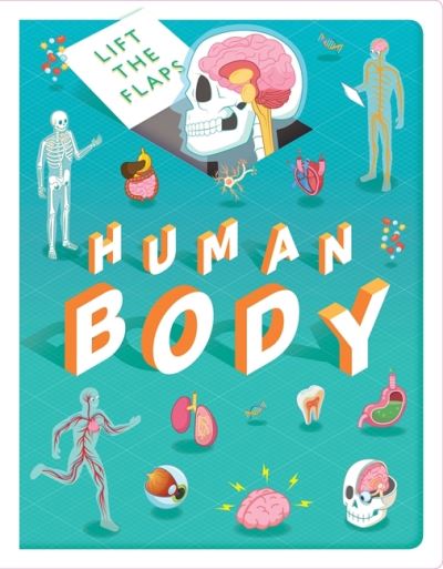 Cover for Autumn Publishing · Lift The Flaps: Human Body - Fact Book for Kids (Board book) (2023)