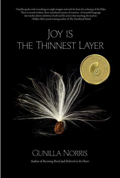 Cover for Gunilla Norris · Joy is the Thinnest Layer (Taschenbuch) (2016)