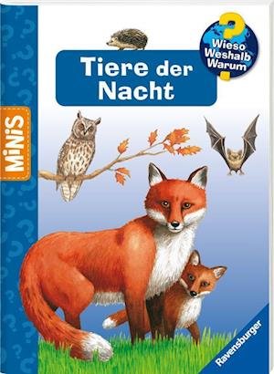 Cover for Ravensburger Verlag · Verkaufs-Kassette &quot;Ravensburger Minis 19 - Wieso? Weshalb? Warum?&quot; (SPILLKORT) (2023)