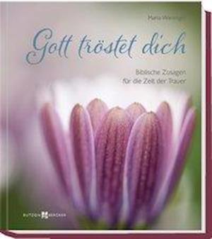 Cover for Wiesinger · Gott tröstet dich (Book)