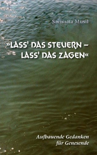 Cover for Sacimata Musil · Lass' Das Steuern - Lass' Das Zagen (Paperback Book) [German edition] (2010)