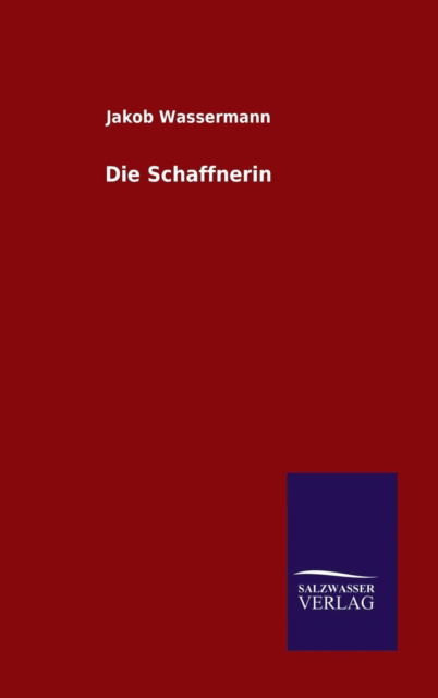 Cover for Jakob Wassermann · Die Schaffnerin (Hardcover Book) (2015)