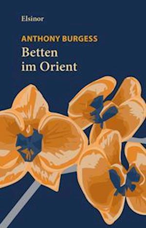 Betten im Orient - Ludger Tolksdorf - Books - Elsinor Verlag - 9783942788656 - July 27, 2022