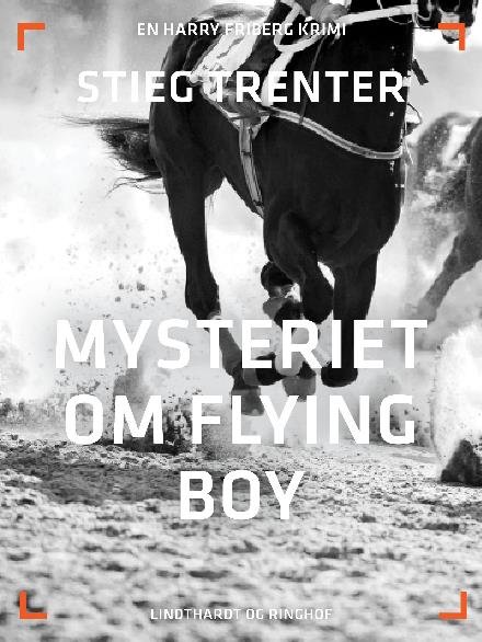 Cover for Stieg Trenter · En Harry Friberg-krimi: Mysteriet om Flying Boy (Sewn Spine Book) [2e uitgave] (2017)