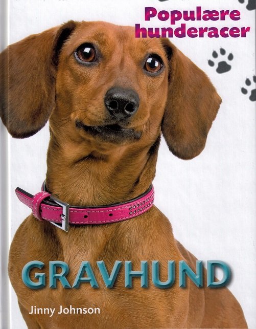Cover for Jinny Johnson · Populære hunderacer: POPULÆRE HUNDERACER: Gravhund (Innbunden bok) [1. utgave] (2017)