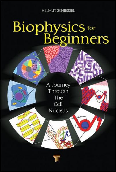 Cover for Schiessel, Helmut (Leiden University, The Netherlands) · Biophysics for Beginners: A Journey through the Cell Nucleus (Hardcover Book) (2013)