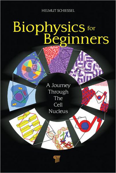 Cover for Schiessel, Helmut (Leiden University, The Netherlands) · Biophysics for Beginners: A Journey through the Cell Nucleus (Hardcover Book) (2013)