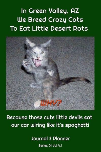 Cover for Go2fun Today · In Green Valley, AZ, We Breed Crazy Cats To Eat Little Desert Rats. Why? (Pocketbok) (2020)