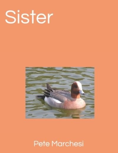 Cover for Pete Marchesi · Sister (Paperback Book) (2020)