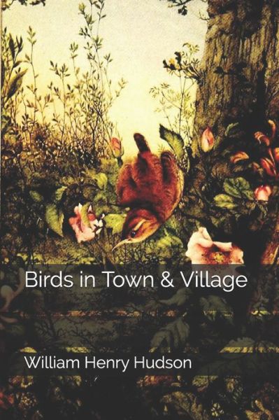 Cover for William Henry Hudson · Birds in Town &amp; Village (Pocketbok) (2020)