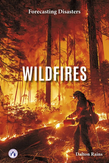 Cover for Dalton Rains · Wildfires - Forecasting Disasters (Hardcover Book) (2025)