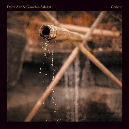 Cover for Alit, Dewa &amp; Gamelan Salukat · Genetic (LP) (2020)