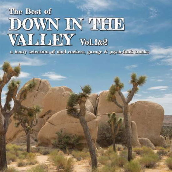 Best of Down in the Valley Vol.1 & 2 - Aa.vv. - Music - Perfect Toy - 5050580689657 - May 25, 2018